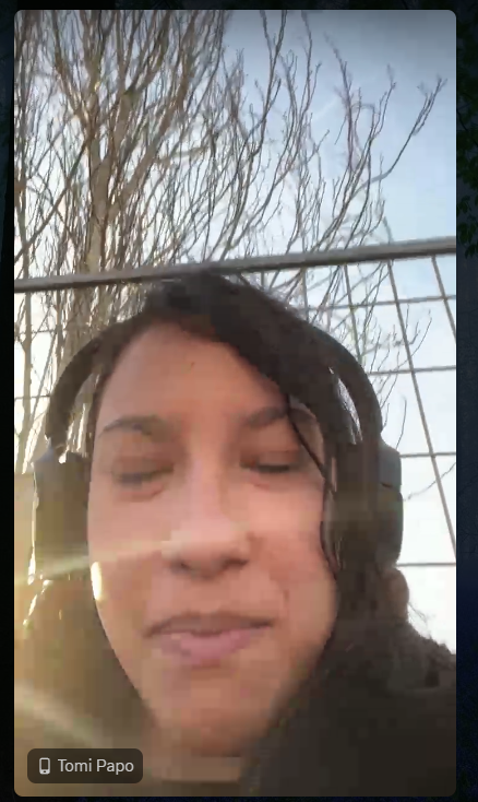 Captura de pantalla 2026-03-11 182704.png